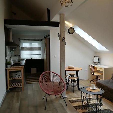 Studio Apartman Hana Lägenhet Drežnik Grad Exteriör bild