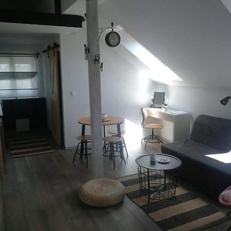 Studio Apartman Hana Lägenhet Drežnik Grad Exteriör bild