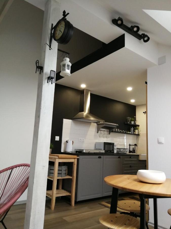 Studio Apartman Hana Lägenhet Drežnik Grad Exteriör bild