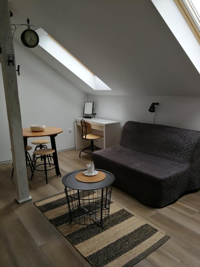 Studio Apartman Hana Lägenhet Drežnik Grad Exteriör bild