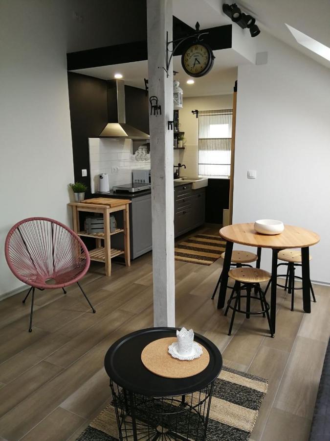 Studio Apartman Hana Lägenhet Drežnik Grad Exteriör bild