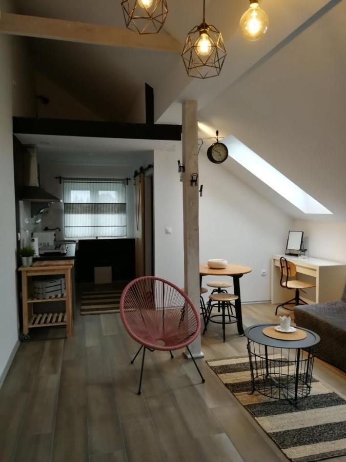 Studio Apartman Hana Lägenhet Drežnik Grad Exteriör bild