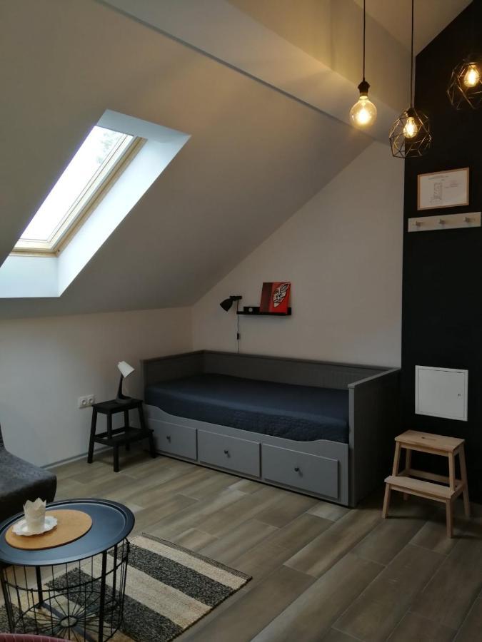 Studio Apartman Hana Lägenhet Drežnik Grad Exteriör bild