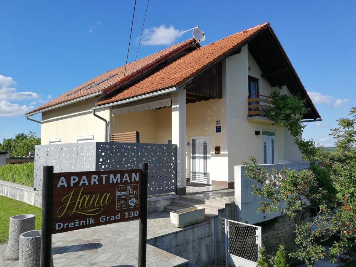 Studio Apartman Hana Lägenhet Drežnik Grad Exteriör bild