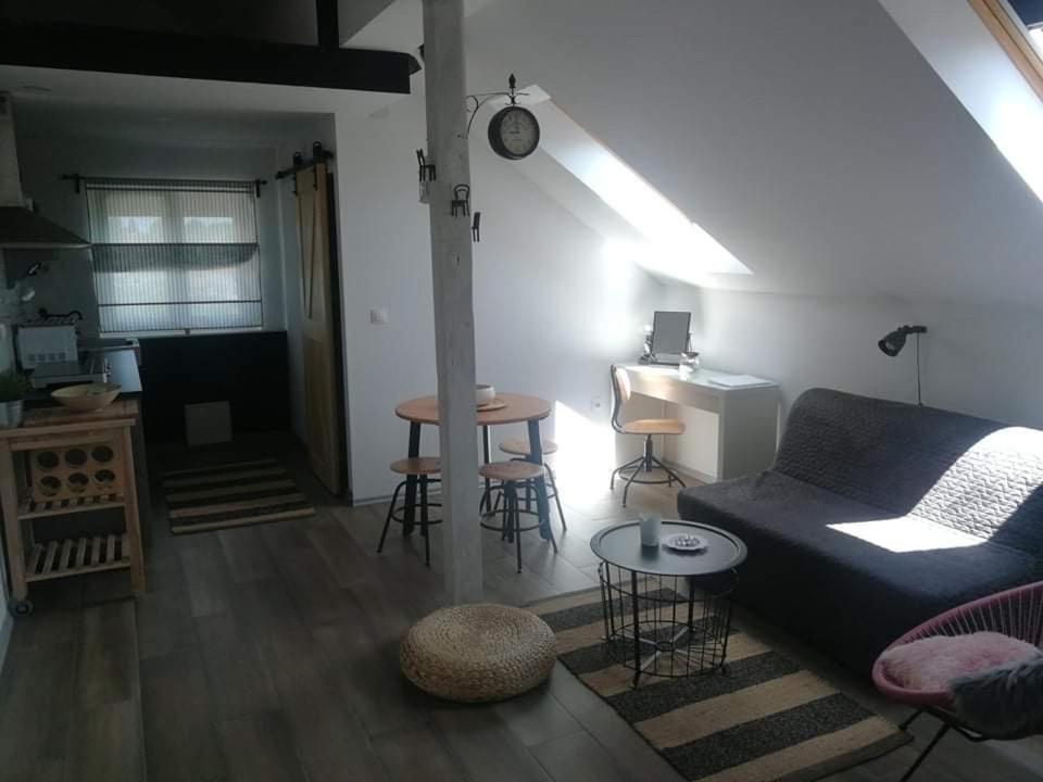 Studio Apartman Hana Lägenhet Drežnik Grad Exteriör bild