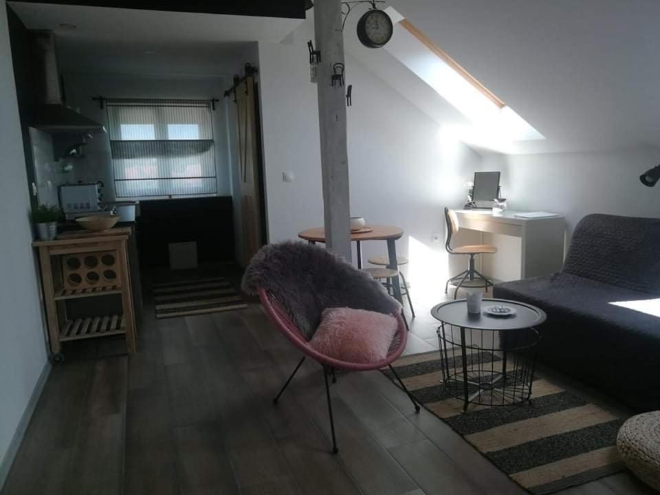 Studio Apartman Hana Lägenhet Drežnik Grad Exteriör bild