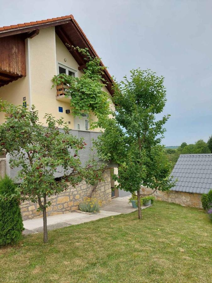 Studio Apartman Hana Lägenhet Drežnik Grad Exteriör bild