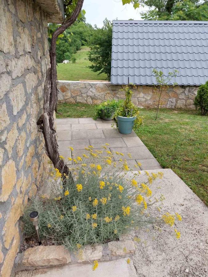 Studio Apartman Hana Lägenhet Drežnik Grad Exteriör bild